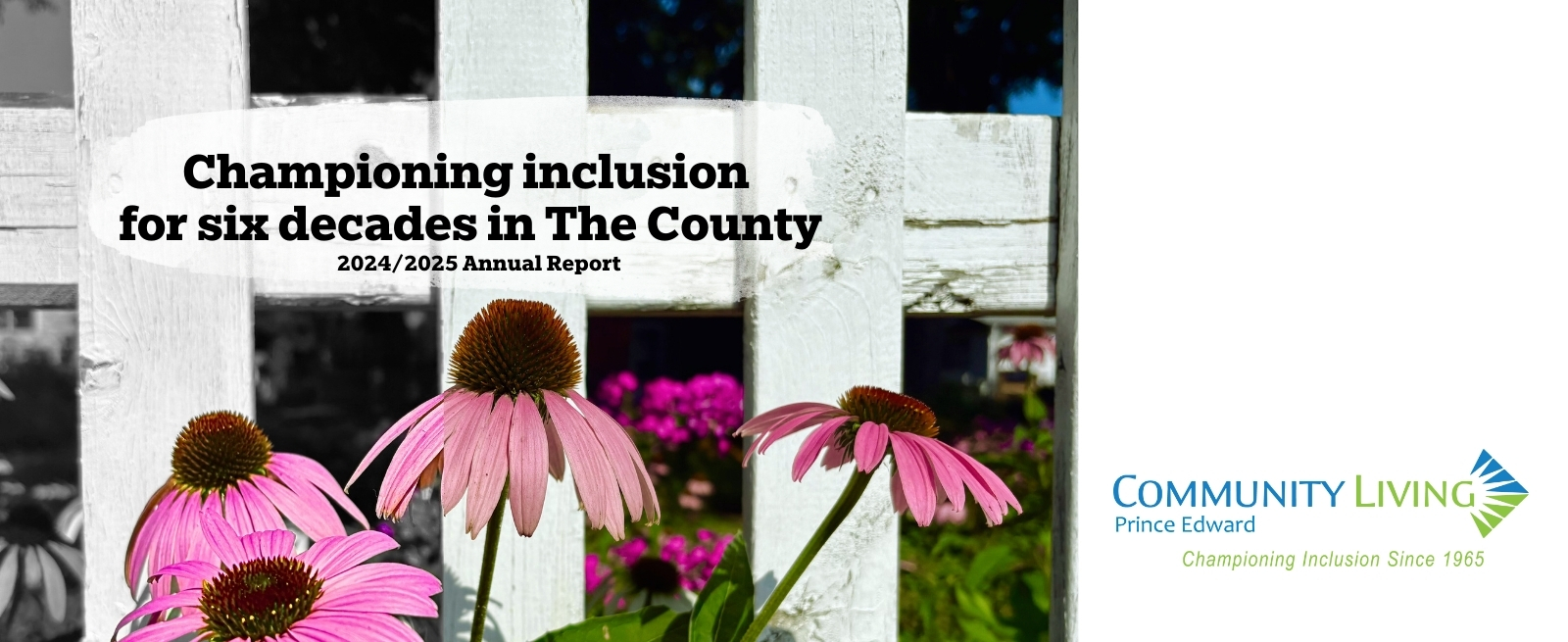 Annual Report 2024 - 2025