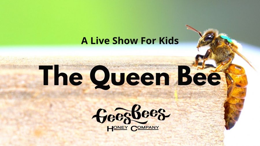 THE QUEEN BEE LIVE SHOW